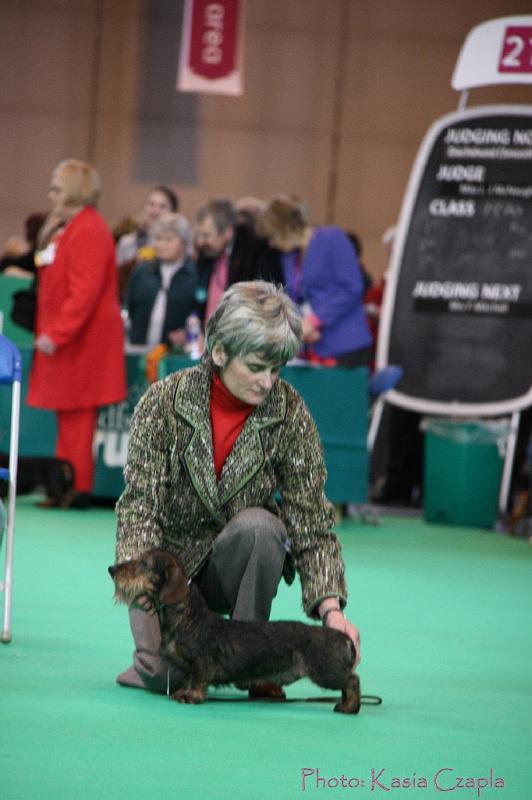 Crufts2011_2 723.jpg